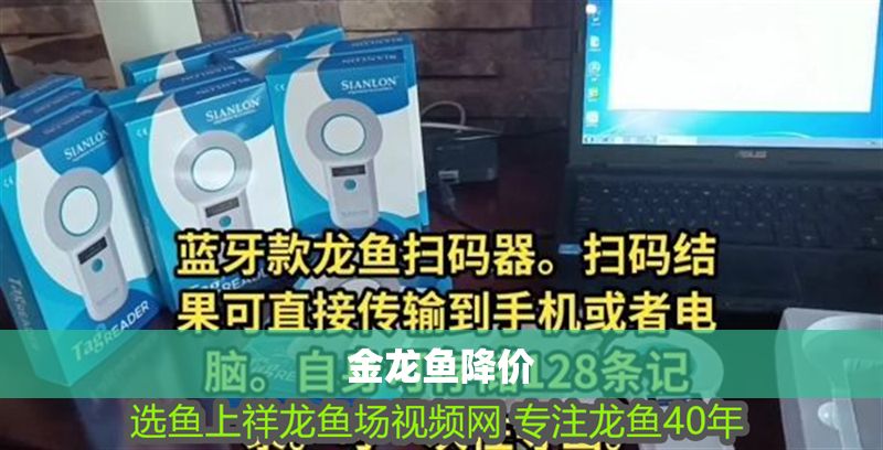 金龍魚(yú)降價(jià)