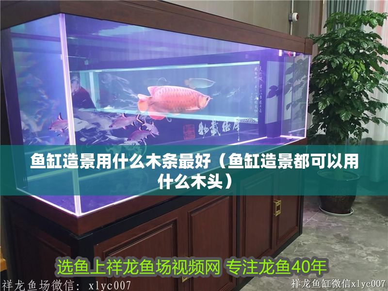 魚(yú)缸造景用什么木條最好（魚(yú)缸造景都可以用什么木頭）