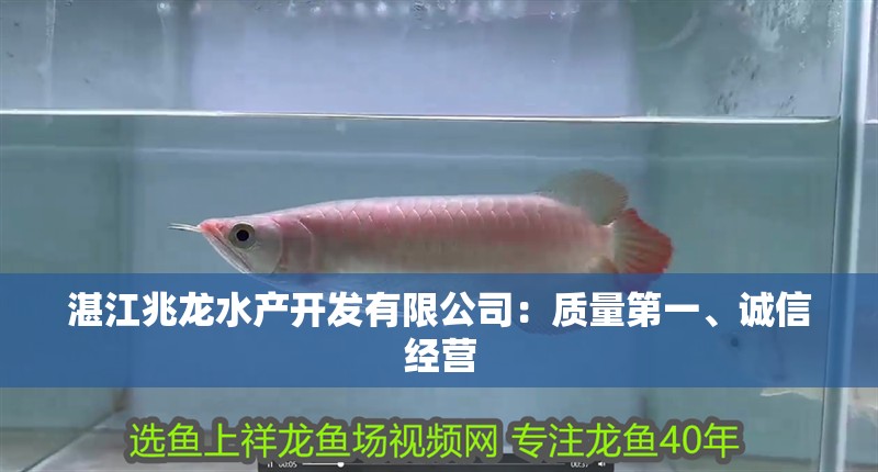 紅龍魚用黃燈烤有用嗎 湛江兆龍水產開發有限公司:質量第一、誠信經營 全國水族館企業名錄 湛江兆龍水產開發有限公司:質量第一、誠信經營 湛江兆龍水產開發有限公司:質量第一、誠信經營 全國水族館企業名錄