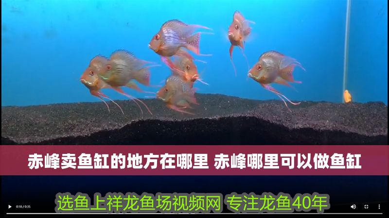 赤峰賣魚缸的地方在哪里 赤峰哪里可以做魚缸