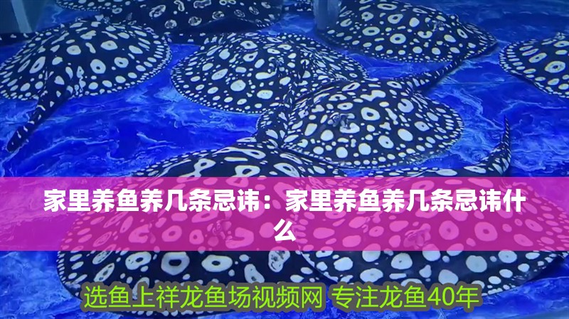 家里養魚養幾條忌諱：家里養魚養幾條忌諱什么