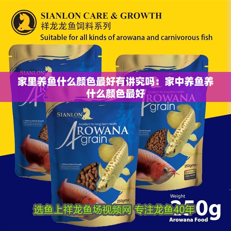 家里養(yǎng)魚什么顏色最好有講究嗎：家中養(yǎng)魚養(yǎng)什么顏色最好