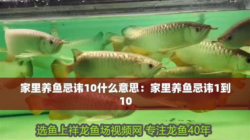 家里養魚忌諱10什么意思：家里養魚忌諱1到10