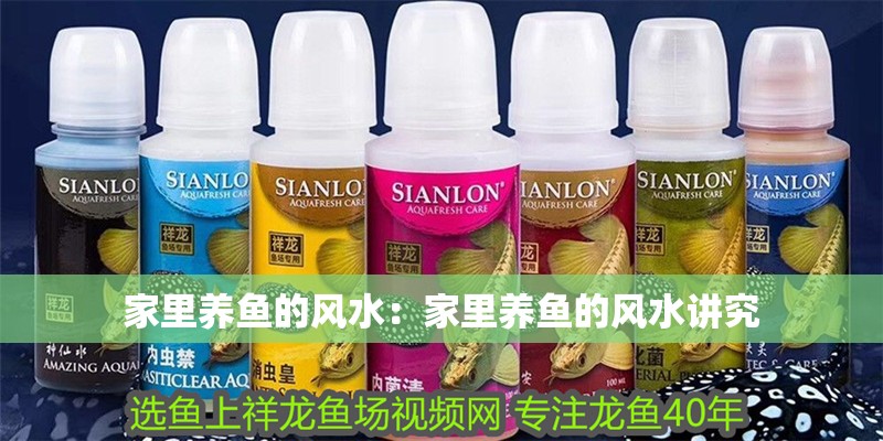 家里養魚的風水：家里養魚的風水講究