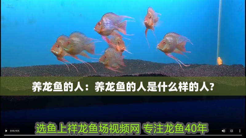 養(yǎng)龍魚(yú)的人：養(yǎng)龍魚(yú)的人是什么樣的人?