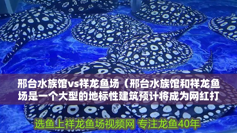 邢臺(tái)水族館vs祥龍魚場(chǎng)（邢臺(tái)水族館和祥龍魚場(chǎng)是一個(gè)大型的地標(biāo)性建筑預(yù)計(jì)將成為網(wǎng)紅打卡地）