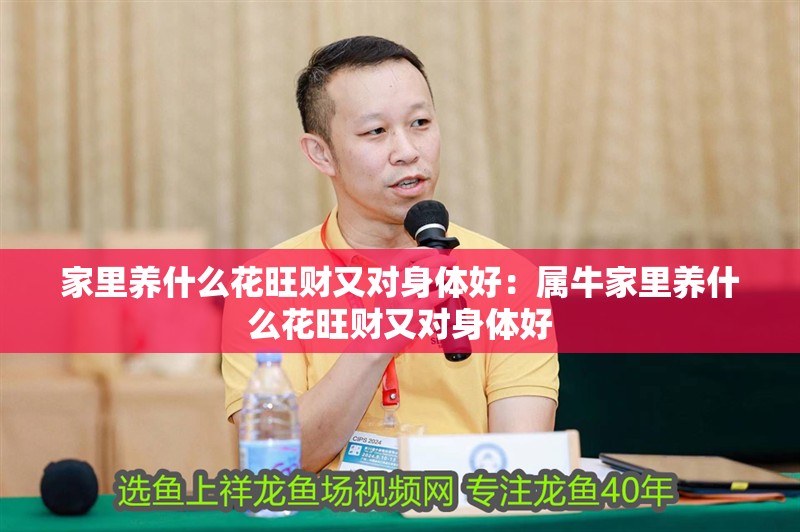 家里養(yǎng)什么花旺財又對身體好：屬牛家里養(yǎng)什么花旺財又對身體好