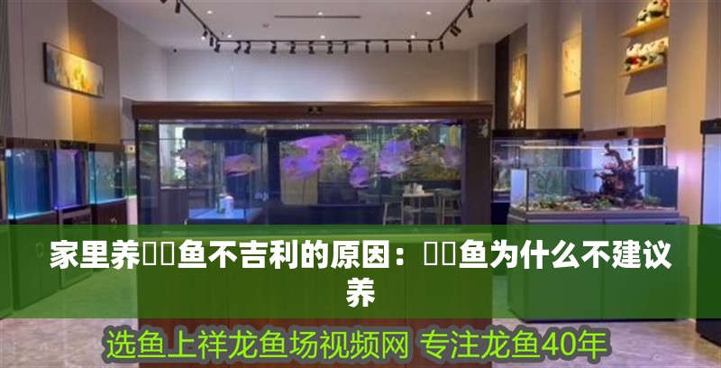 家里養鳑鲏魚不吉利的原因：鳑鲏魚為什么不建議養