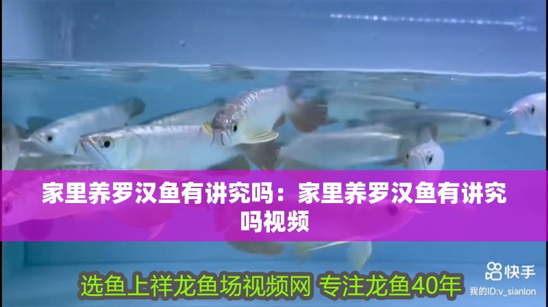 家里養羅漢魚有講究嗎：家里養羅漢魚有講究嗎視頻