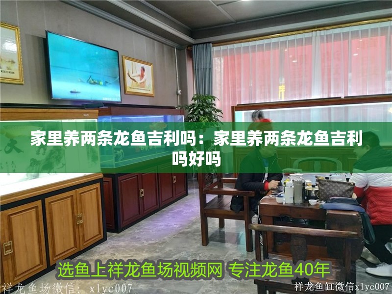 家里養兩條龍魚吉利嗎：家里養兩條龍魚吉利嗎好嗎