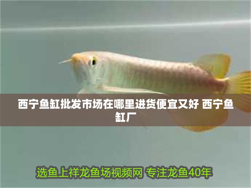 西寧魚缸批發(fā)市場在哪里進(jìn)貨便宜又好 西寧魚缸廠