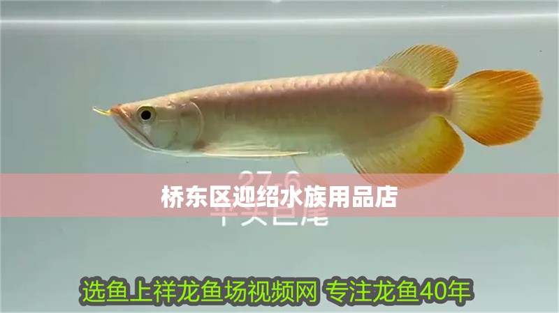 橋東區迎紹水族用品店 橋東區迎紹水族用品店 全國水族館企業名錄 第2張