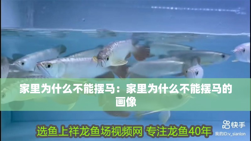 家里為什么不能擺馬：家里為什么不能擺馬的畫像