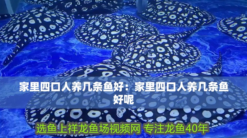 家里四口人養(yǎng)幾條魚好：家里四口人養(yǎng)幾條魚好呢