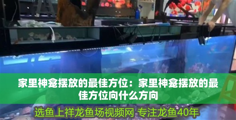 家里神龕擺放的最佳方位：家里神龕擺放的最佳方位向什么方向 家里神龕擺放的最佳方位：家里神龕擺放的最佳方位向什么方向 龍魚百科 第1張