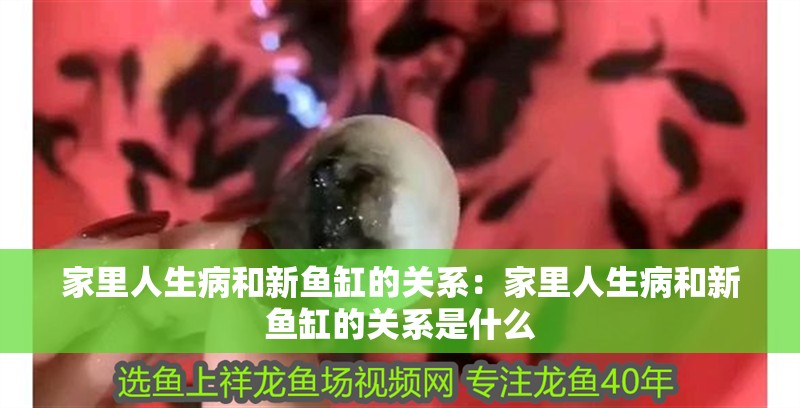 家里人生病和新魚(yú)缸的關(guān)系：家里人生病和新魚(yú)缸的關(guān)系是什么 家里人生病和新魚(yú)缸的關(guān)系：家里人生病和新魚(yú)缸的關(guān)系是什么 龍魚(yú)百科 第1張