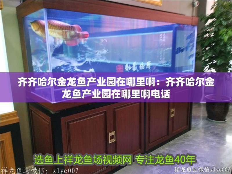 齊齊哈爾金龍魚產業園在哪里啊：齊齊哈爾金龍魚產業園在哪里啊電話 齊齊哈爾金龍魚產業園在哪里啊：齊齊哈爾金龍魚產業園在哪里啊電話 水族問答
