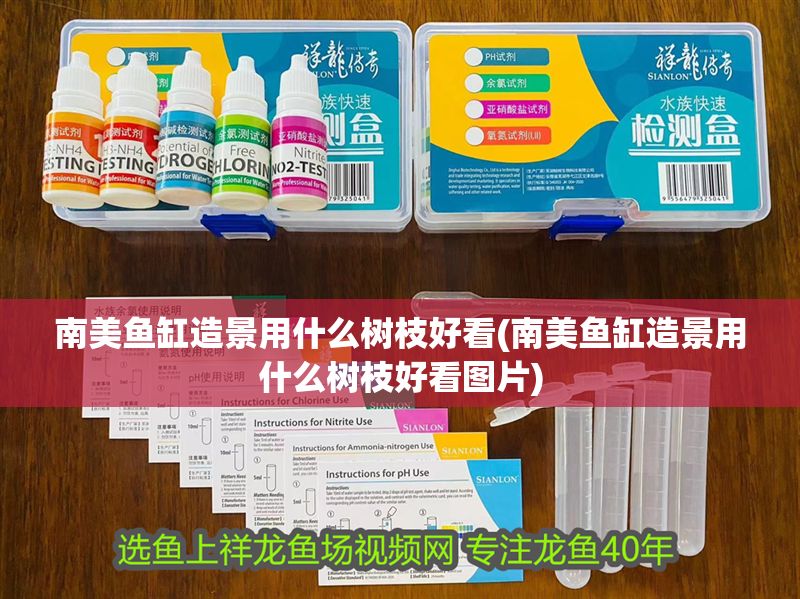 南美魚缸造景用什么樹枝好看(南美魚缸造景用什么樹枝好看圖片) 南美魚缸造景用什么樹枝好看(南美魚缸造景用什么樹枝好看圖片) 龍魚百科 第1張