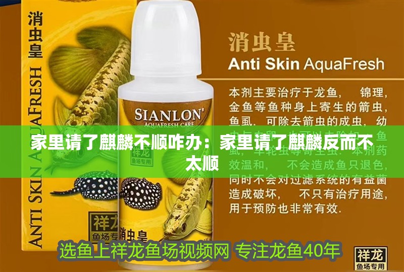 家里請了<strong><mark>麒麟</mark></strong>不順咋辦：家里請了<strong><mark>麒麟</mark></strong>反而不太順