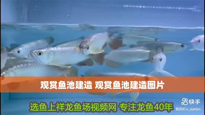 觀賞魚池建造 觀賞魚池建造圖片