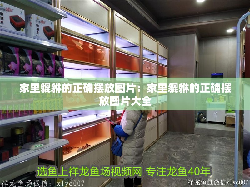 家里貔貅的正確擺放圖片：家里貔貅的正確擺放圖片大全