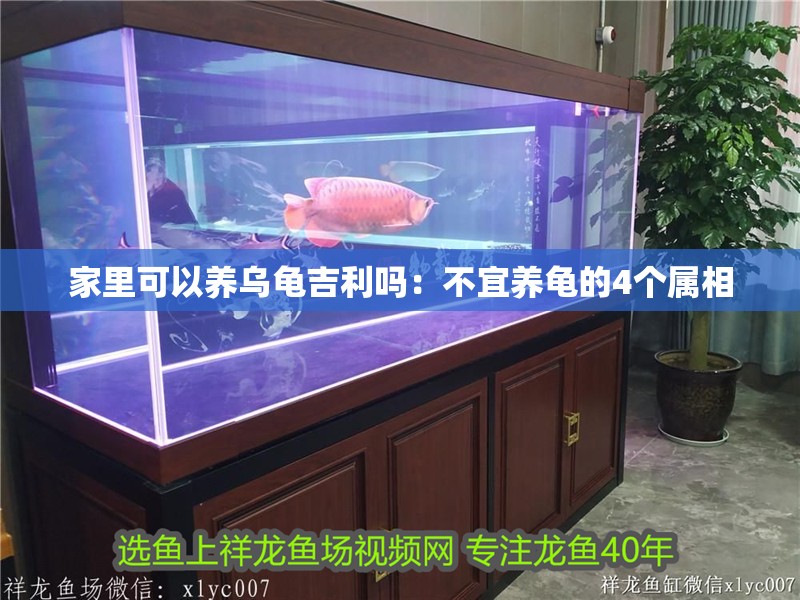 家里可以養(yǎng)烏龜吉利嗎：不宜養(yǎng)龜?shù)?個(gè)屬相