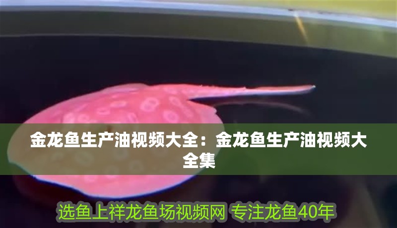 金龍魚生產油視頻大全:金龍魚生產油視頻大全集 水族問答 金龍魚生產油視頻大全:金龍魚生產油視頻大全集 金龍魚生產油視頻大全:金龍魚生產油視頻大全集 水族問答