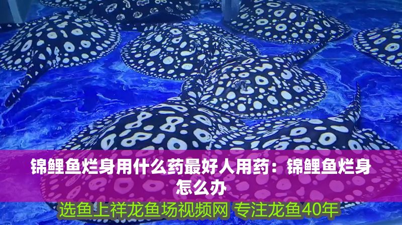 錦鯉魚爛身用什么藥最好人用藥：錦鯉魚爛身怎么辦 錦鯉魚爛身用什么藥最好人用藥：錦鯉魚爛身怎么辦 龍魚百科 第1張