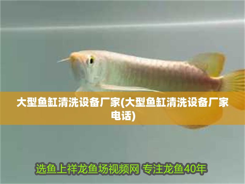 大型魚缸清洗設備廠家(大型魚缸清洗設備廠家電話)