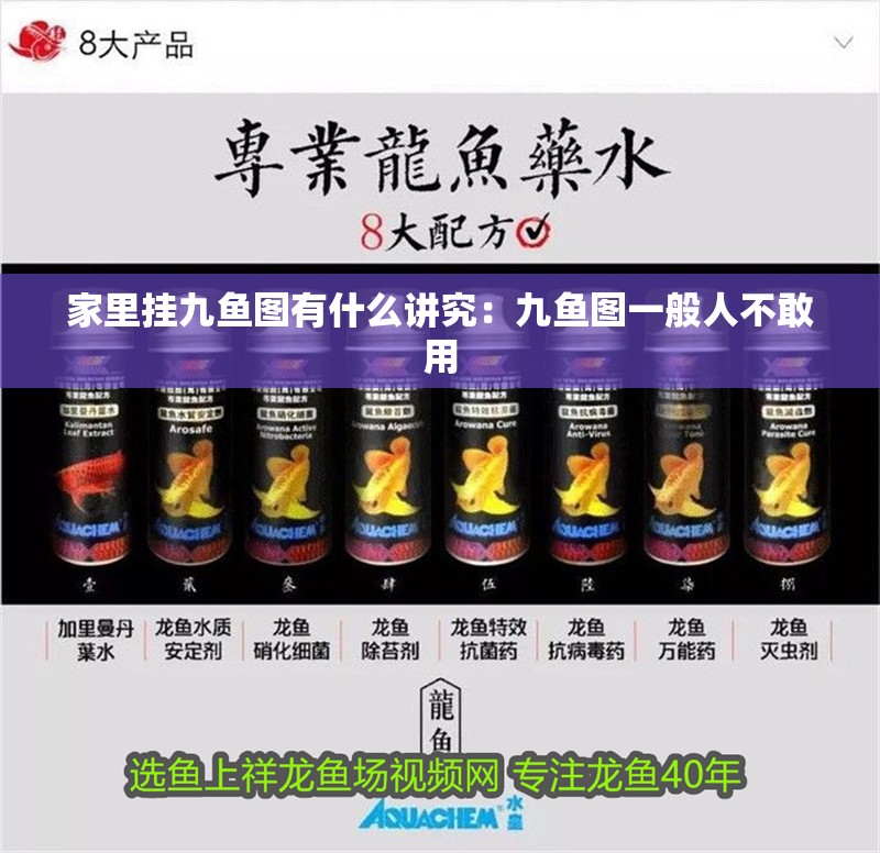 家里掛九魚圖有什么講究：九魚圖一般人不敢用 家里掛九魚圖有什么講究：九魚圖一般人不敢用 龍魚百科 第2張