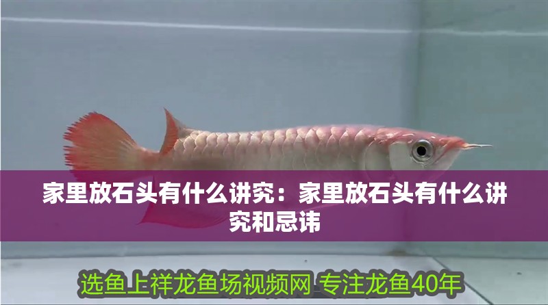 家里放石頭有什么講究：家里放石頭有什么講究和忌諱