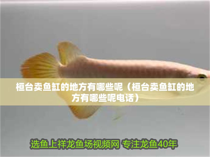 桓臺賣魚缸的地方有哪些呢（桓臺賣魚缸的地方有哪些呢電話）