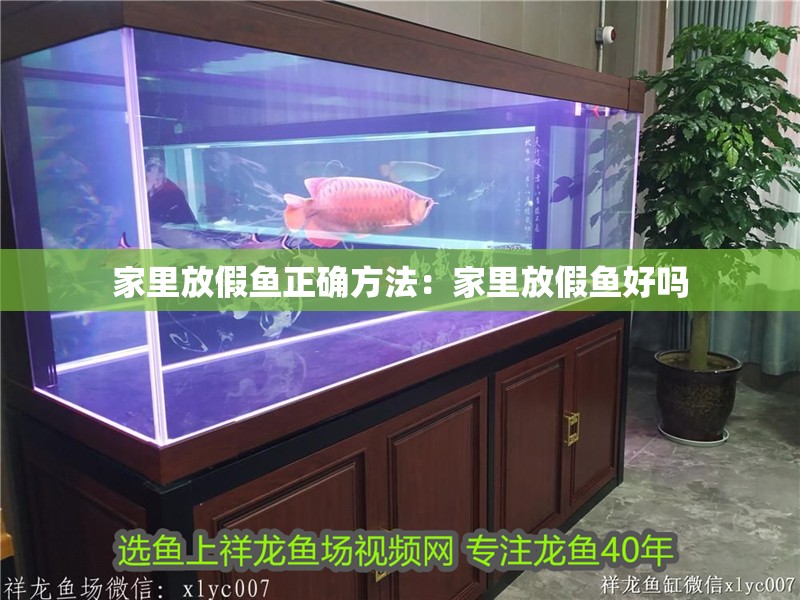 家里放假魚正確方法：家里放假魚好嗎