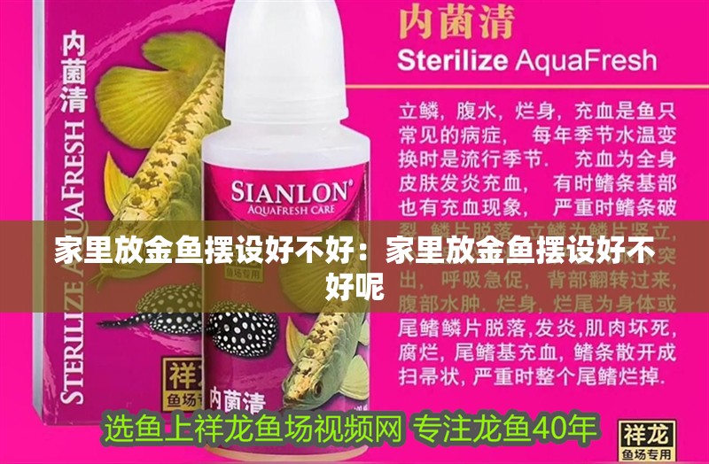 家里放金魚擺設好不好:家里放金魚擺設好不好呢 龍魚百科 第1張 家里放金魚擺設好不好:家里放金魚擺設好不好呢 家里放金魚擺設好不好:家里放金魚擺設好不好呢 龍魚百科 第1張