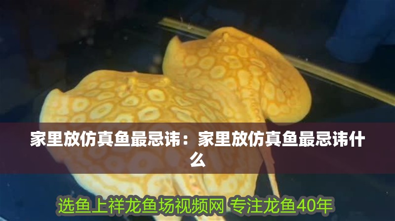 家里放仿真魚最忌諱：家里放仿真魚最忌諱什么 家里放仿真魚最忌諱：家里放仿真魚最忌諱什么 龍魚百科 第1張