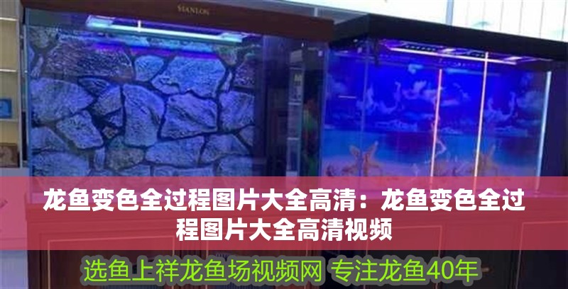 龍魚變色全過程圖片大全高清：龍魚變色全過程圖片大全高清視頻