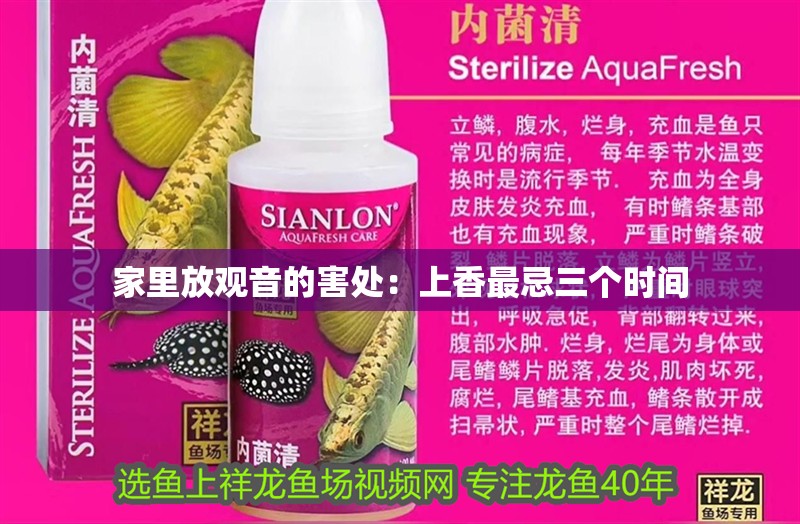 家里放觀音的害處：上香最忌三個時間 家里放觀音的害處：上香最忌三個時間 龍魚百科 第1張