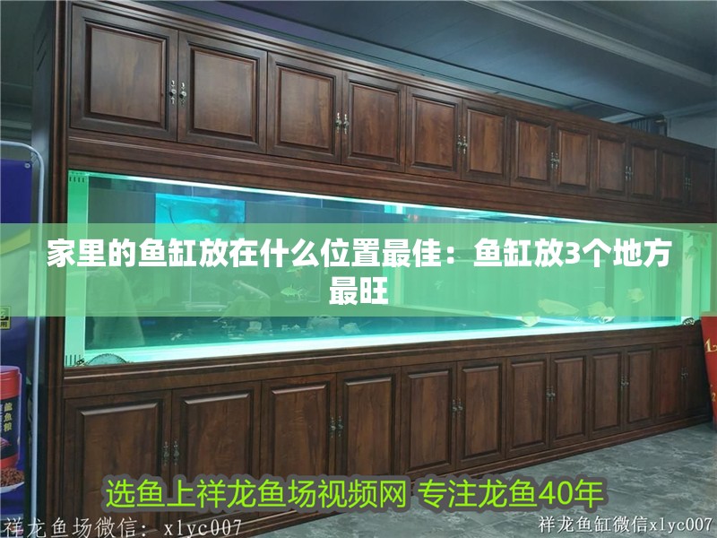 家里的魚(yú)缸放在什么位置最佳：魚(yú)缸放3個(gè)地方最旺