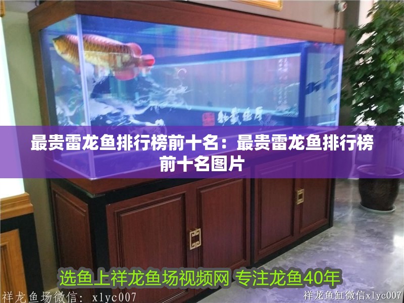 最貴雷龍魚排行榜前十名：最貴雷龍魚排行榜前十名圖片