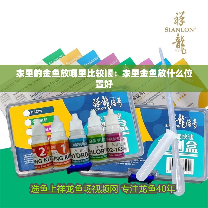 家里的金魚放哪里比較順：家里金魚放什么位置好