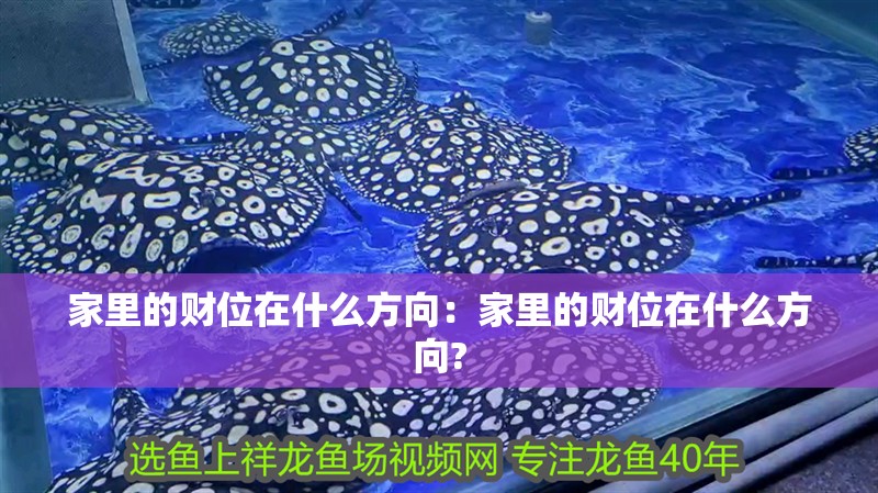 家里的財位在什么方向：家里的財位在什么方向?