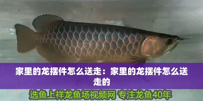 家里的龍擺件怎么送走：家里的龍擺件怎么送走的