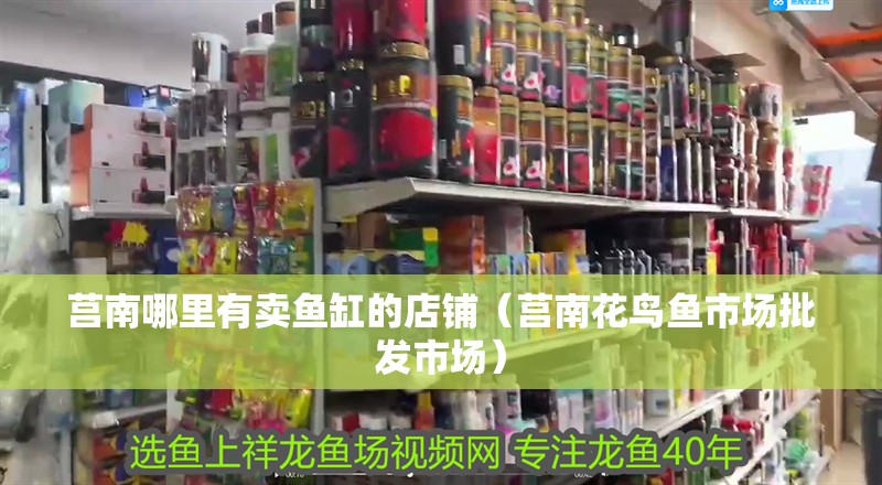 莒南哪里有賣魚缸的店鋪（莒南花鳥魚市場批發市場）