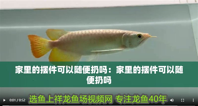 家里的擺件可以隨便扔嗎：家里的擺件可以隨便扔嗎 家里的擺件可以隨便扔嗎：家里的擺件可以隨便扔嗎 龍魚百科 第2張