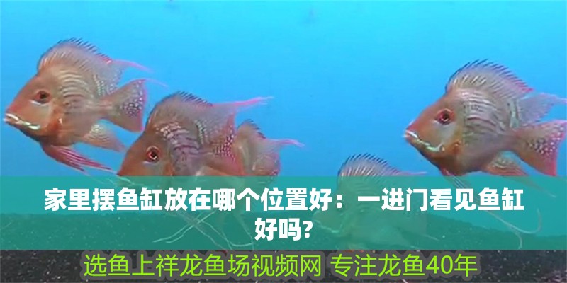 家里擺魚缸放在哪個位置好：一進門看見魚缸好嗎?