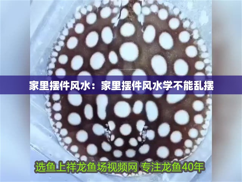 家里擺件風水：家里擺件風水學不能亂擺