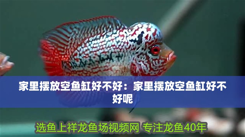 家里擺放空魚缸好不好：家里擺放空魚缸好不好呢