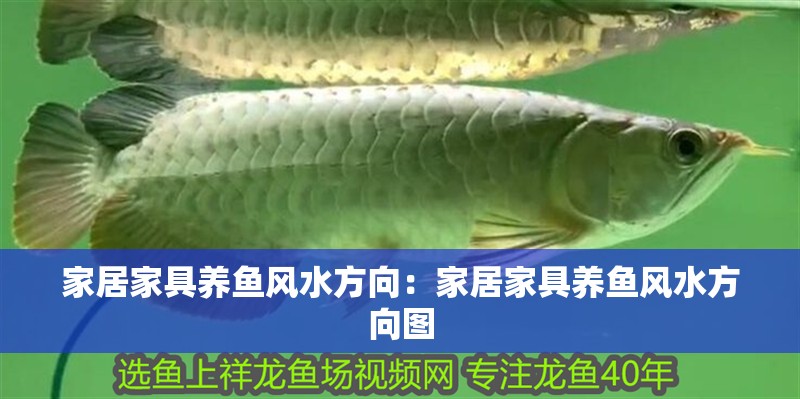 家居家具養魚風水方向：家居家具養魚風水方向圖