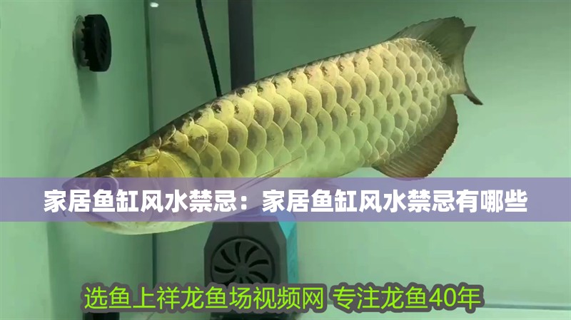 家居魚缸風水禁忌：家居魚缸風水禁忌有哪些 家居魚缸風水禁忌：家居魚缸風水禁忌有哪些 龍魚百科 第1張