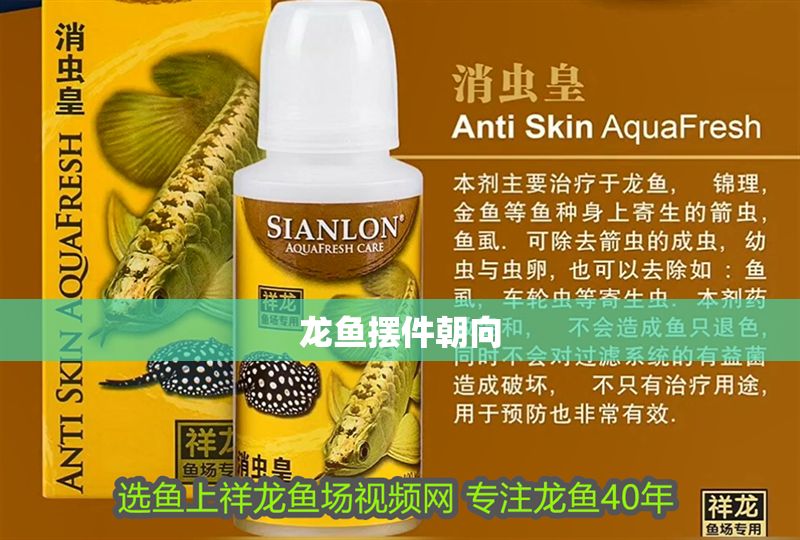 龍魚擺件朝向
